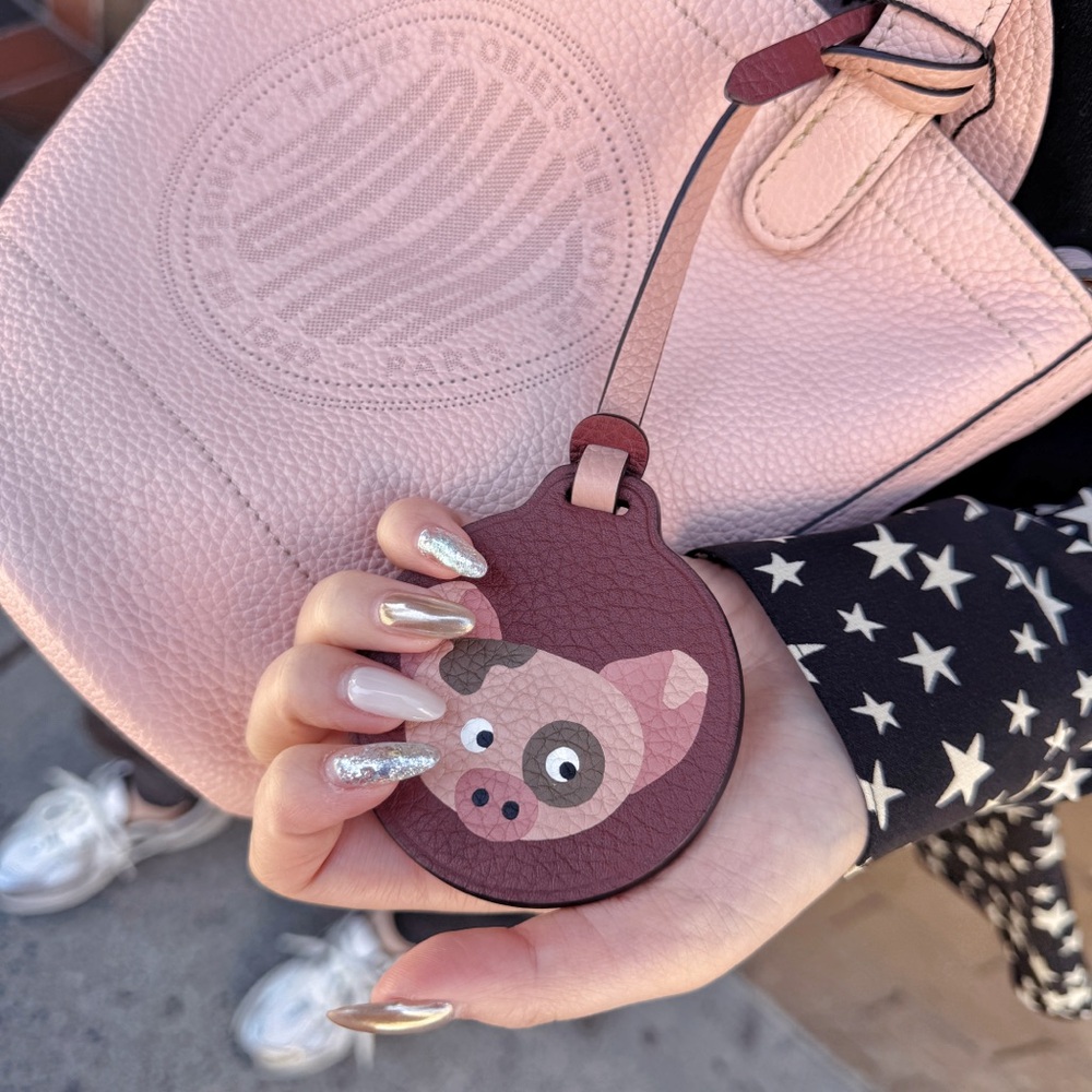 Moynat Fleur Mini Leather Bucket Bag